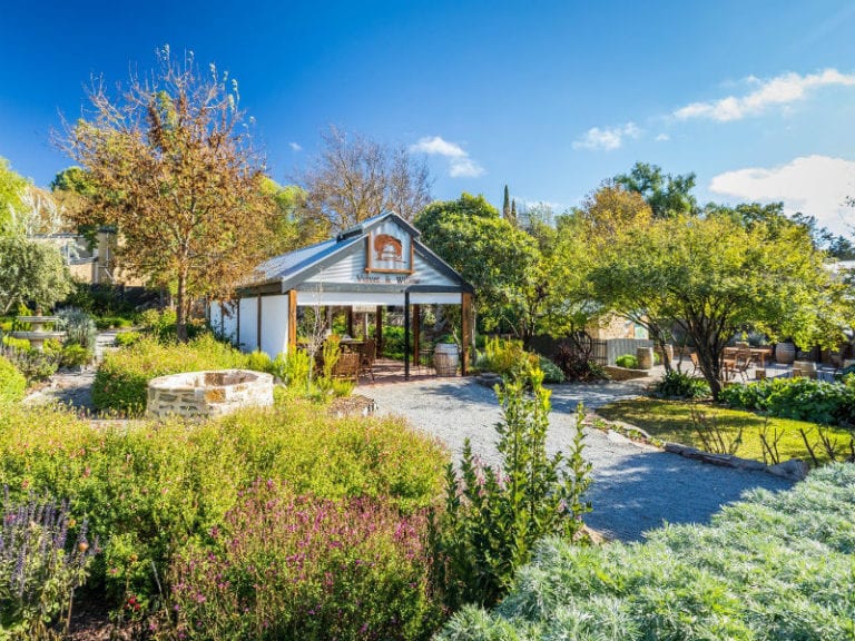 Velvet Willow 1 86 768x576