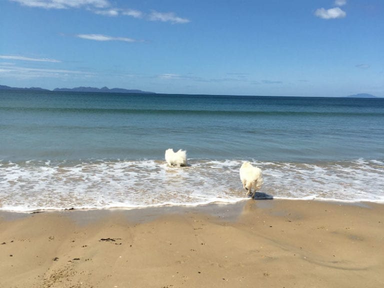 Dolphin Sands 86 768x576