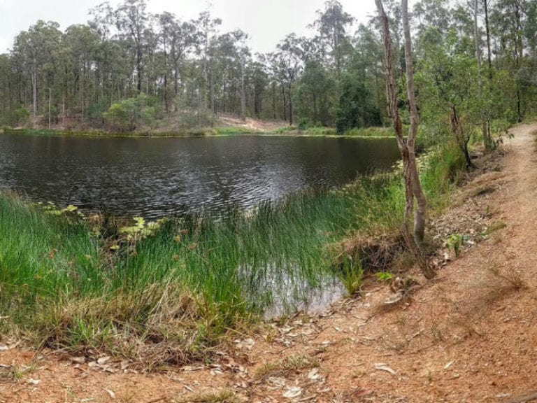 Bunyaville Park dog friendly hike 1 768x576