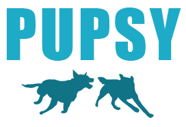 Pupsy-dog-friendly-travel-logo