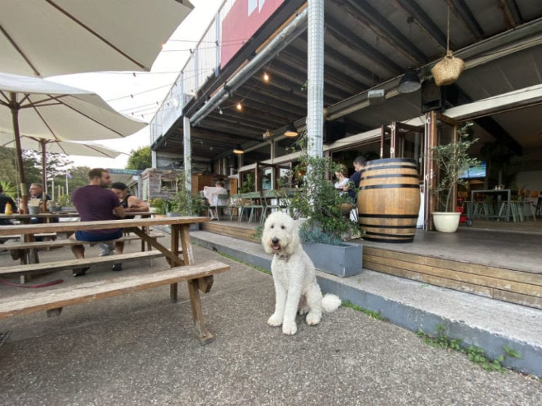 The Field 1 86 768x576