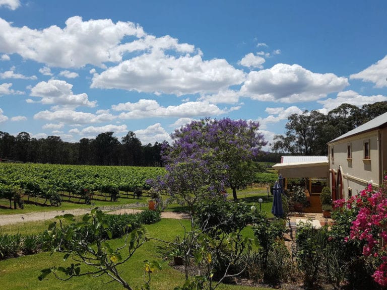 Tintilla Estate 1 86 768x576