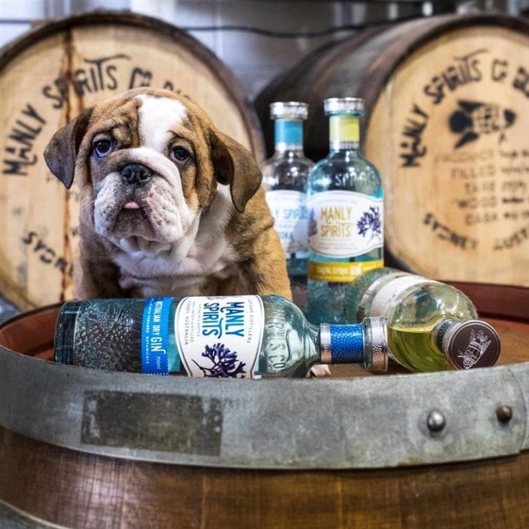 104747700 1541761179330937 6111797278779769071 n 768x768