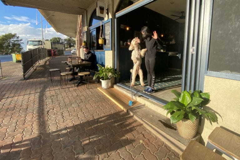 Berri Patch 3 96 768x512