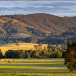 Paddock views from the Lodge