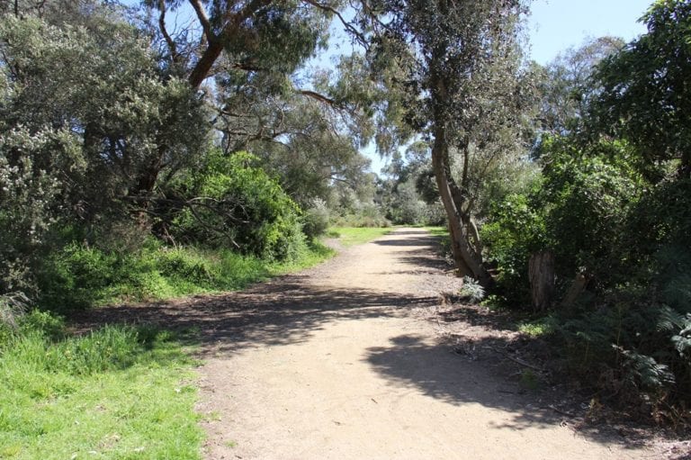 Armstrongs Reserve 768x511