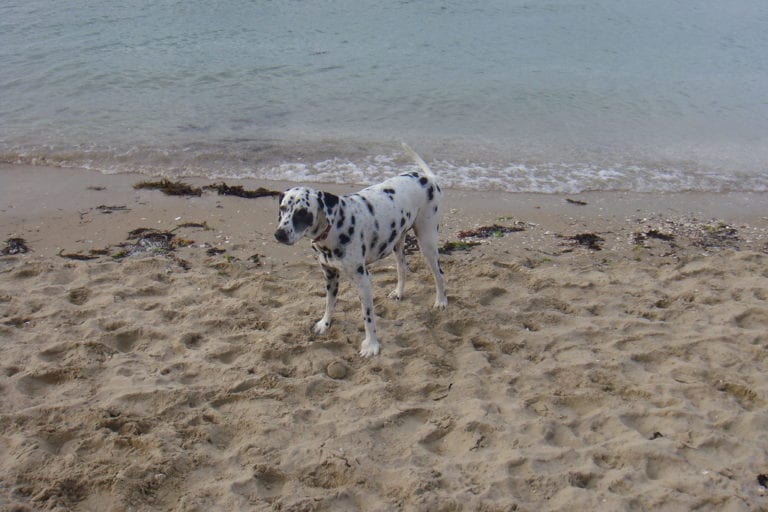 Camerons Bight 1 768x512