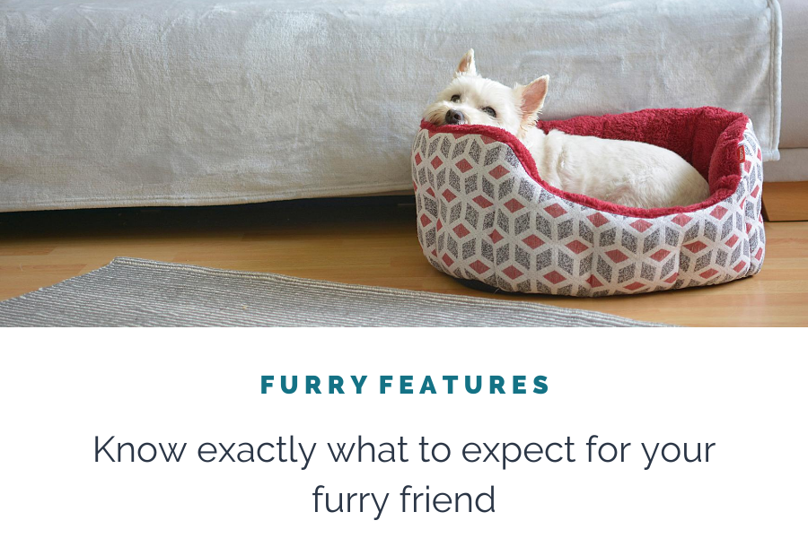 Furry Features