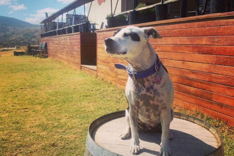 Moothi Estate 1 96 768x512