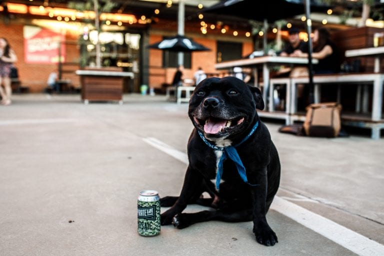 Pirate Life 3 768x512