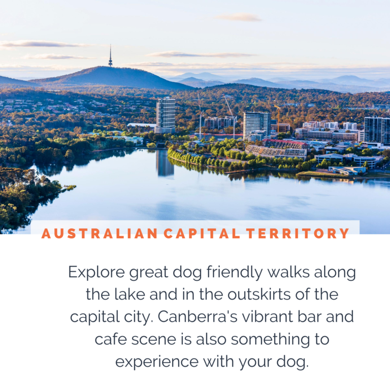 dog-friendly-canberra-act