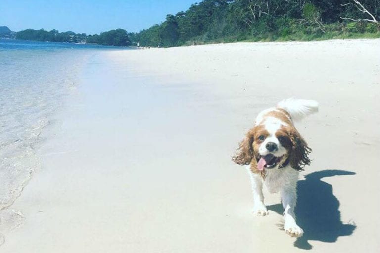 Bagnalls Beach 3 96 768x512