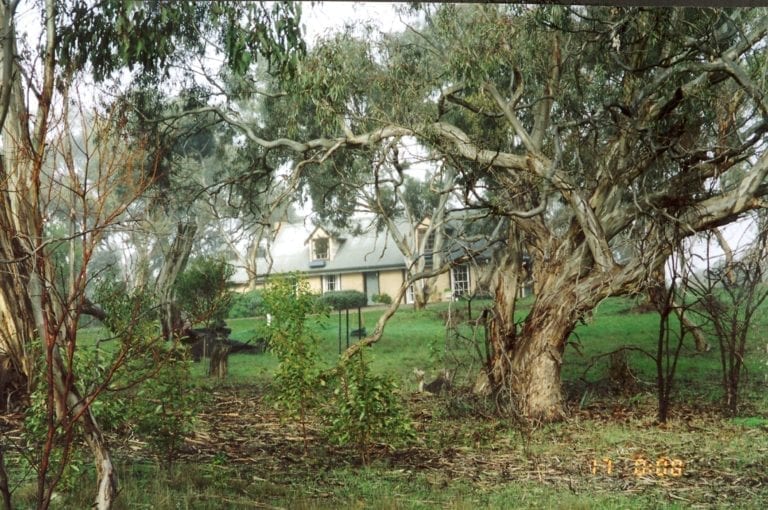 Bronte Manor 768x510