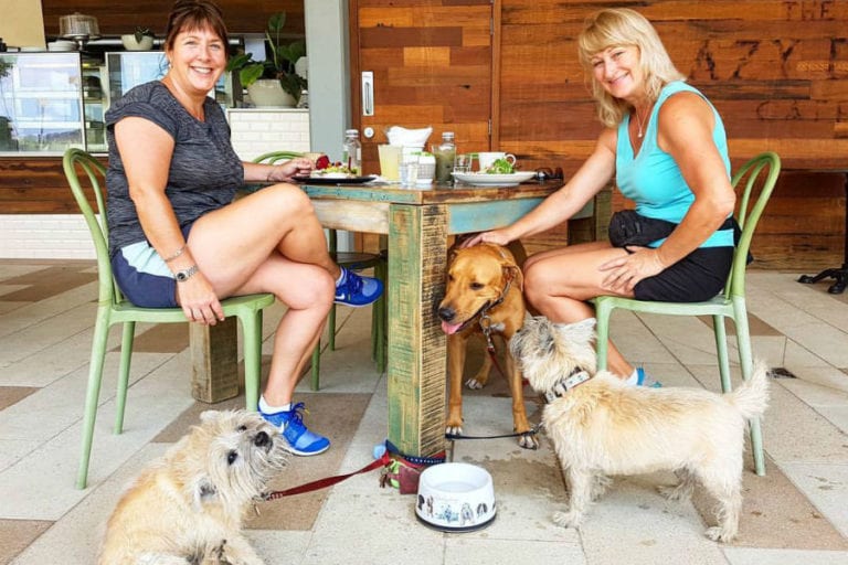 The Lazy Dog Cafe 6 96 768x512