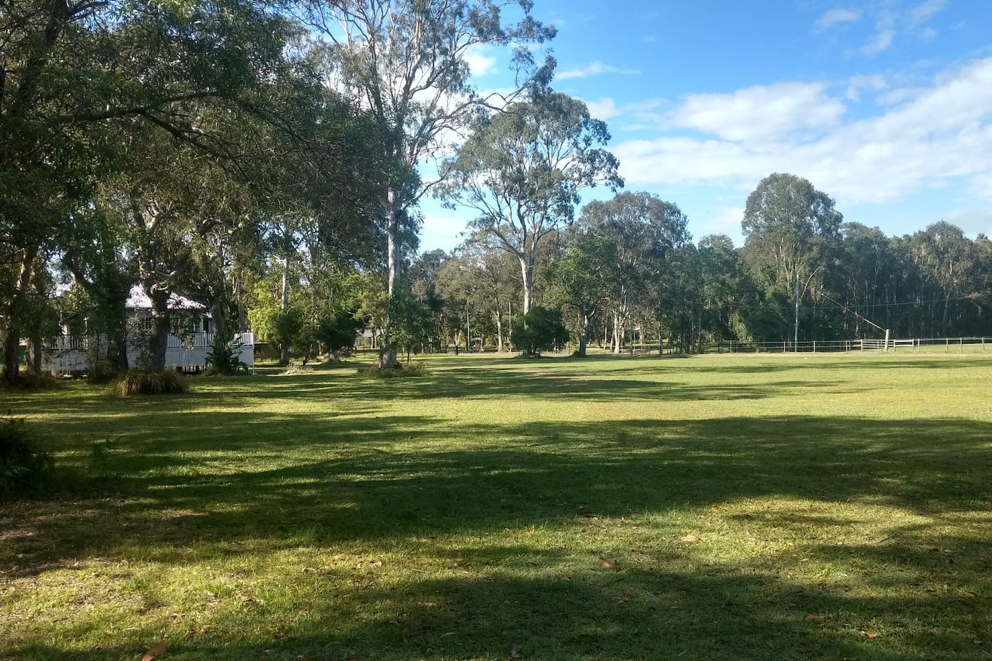 lake weyba noosa cottage dog friendly accommodation 16