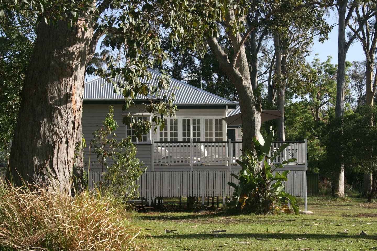 lake weyba noosa cottage dog friendly accommodation 18