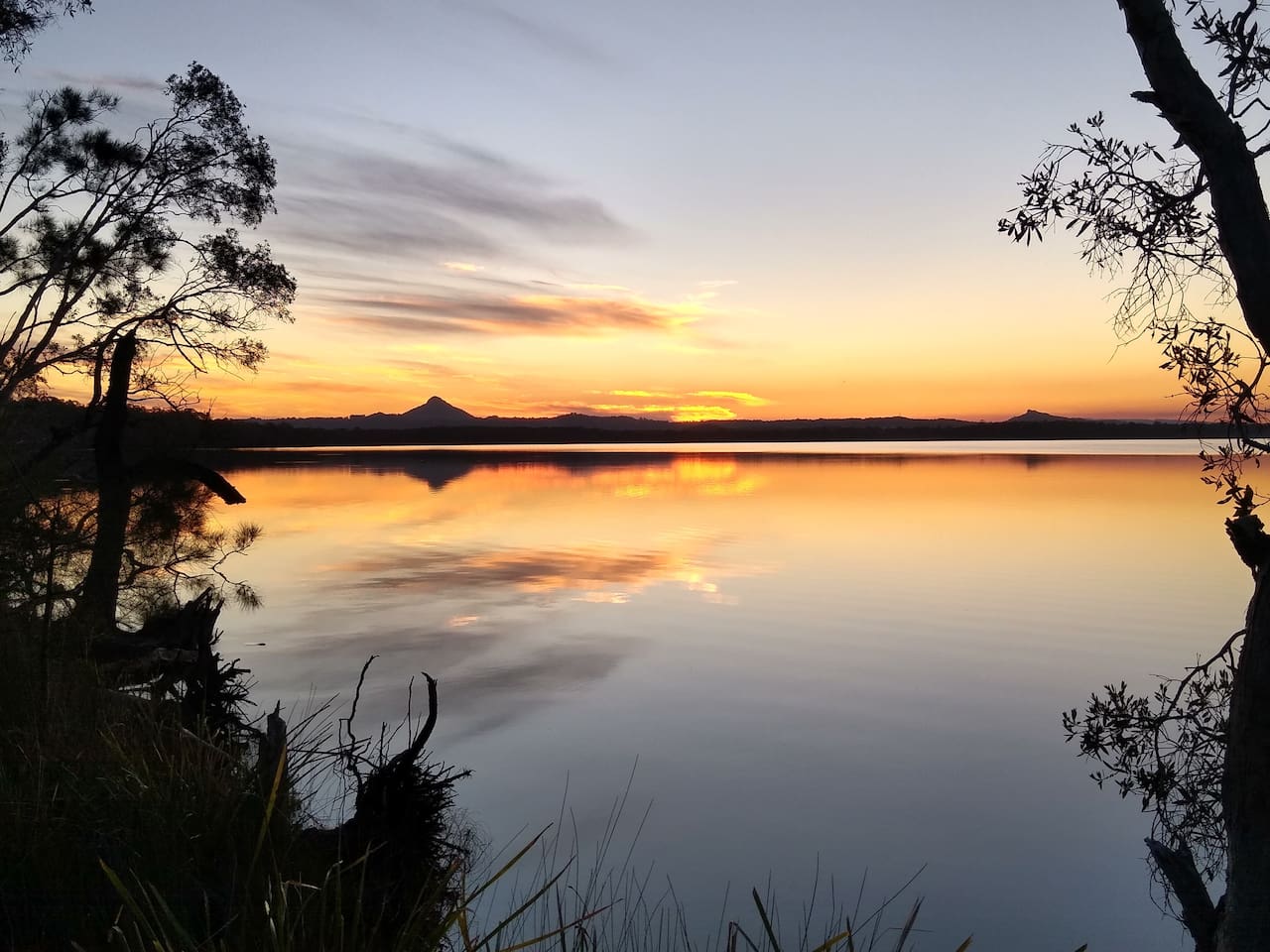 lake weyba noosa cottage dog friendly accommodation 19