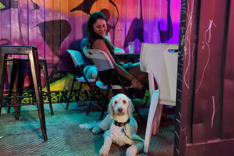 one mile brewery 11 96 768x512