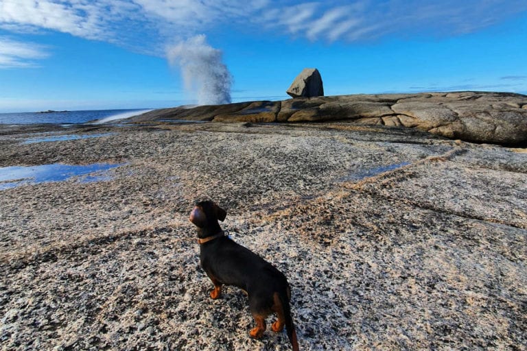 Bicheno Blowhole 96 768x512