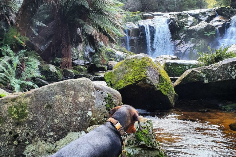 Halls Falls 96 768x512