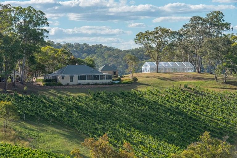 Homestead dryridge estate dog friendly accommodation 1 768x513