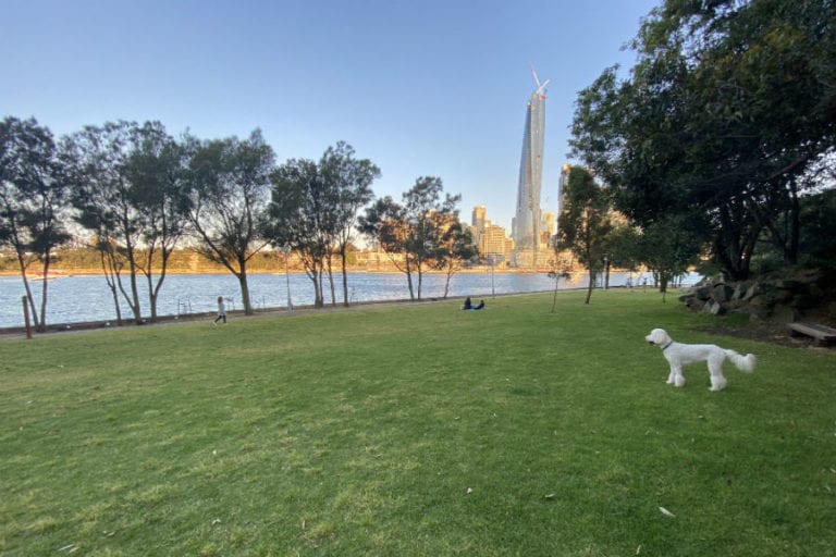 Illoura Reserve 10 96 768x512