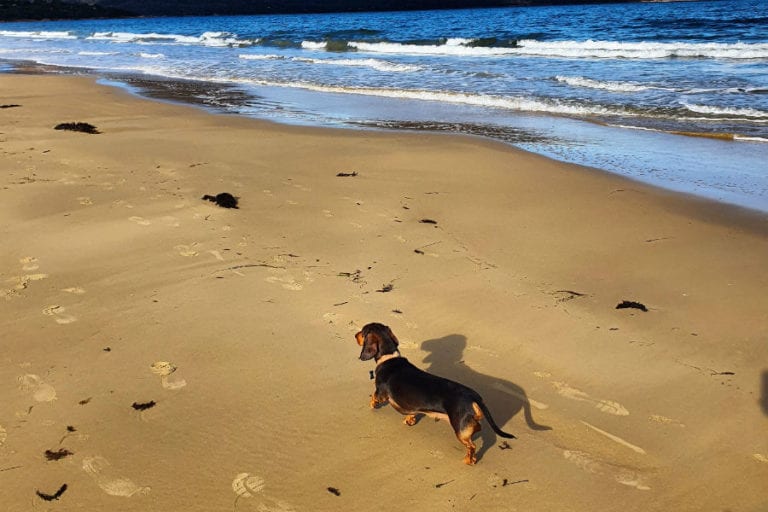 Muirs Beach Coles Bay 96 768x512