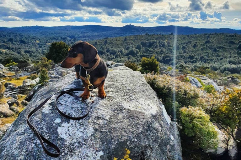 The Blue Tier 2 96 768x512