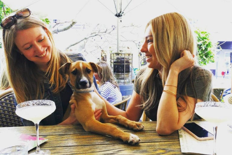 The Cottage 5 96 768x512