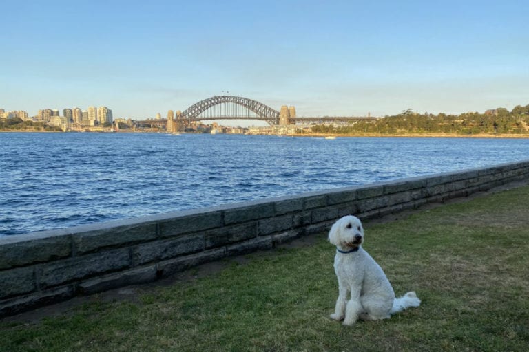 Tom Uren Trail 6 768x512