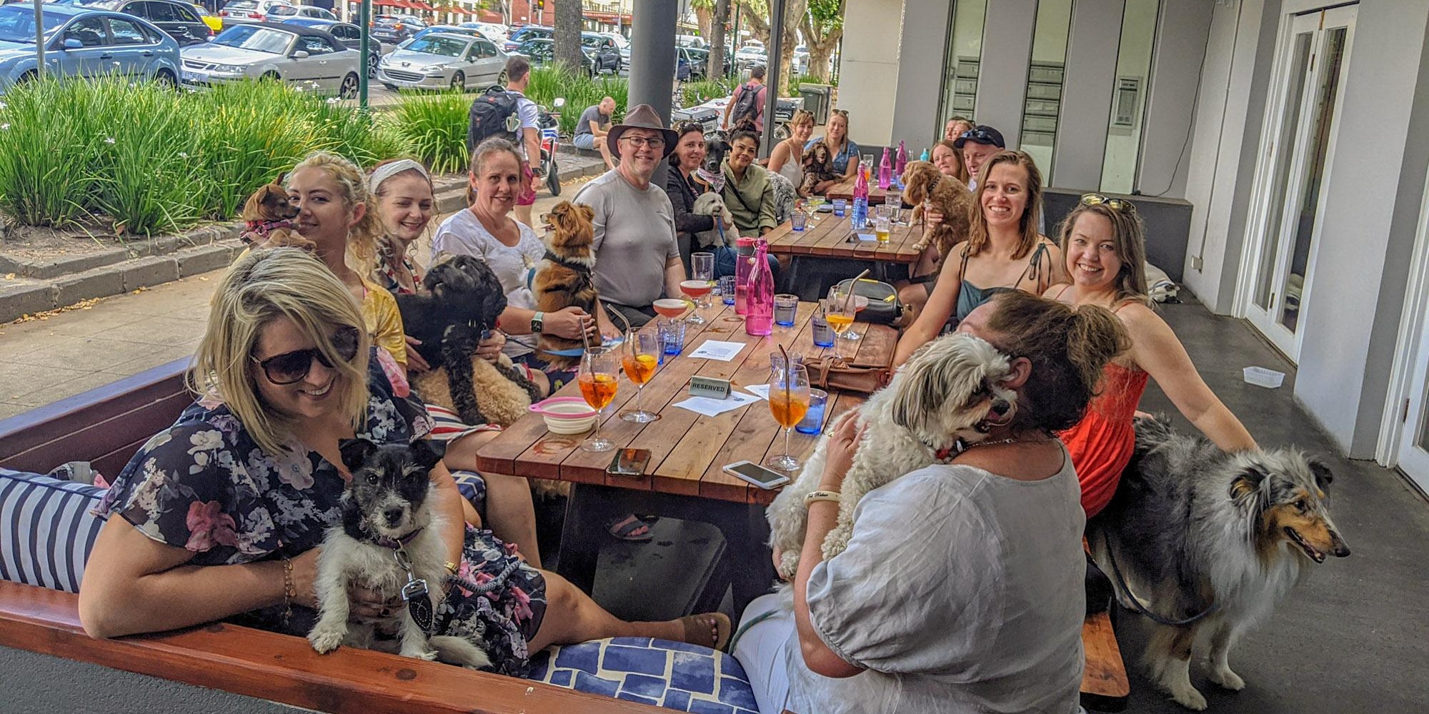 Puppy Pub Crawl St Kilda 2021