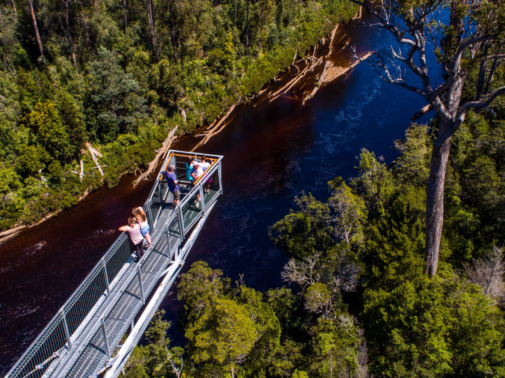 Tahune Airwalk 2