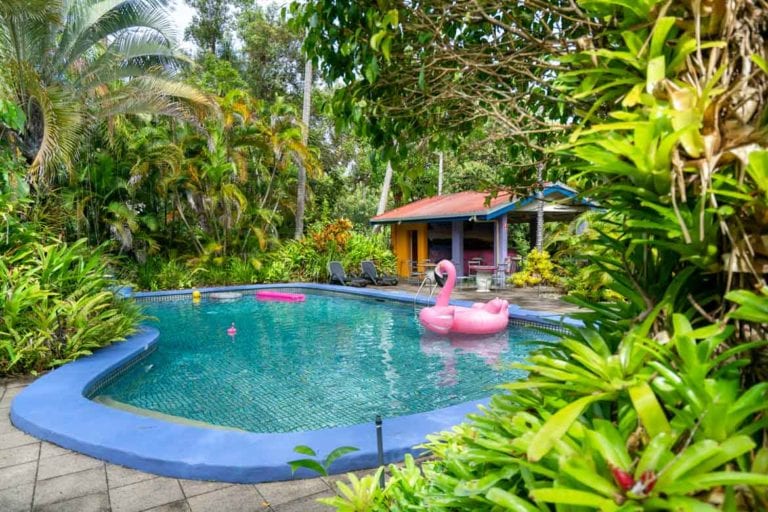pink flamingo resort villa dog friendly accommodation 1 768x512