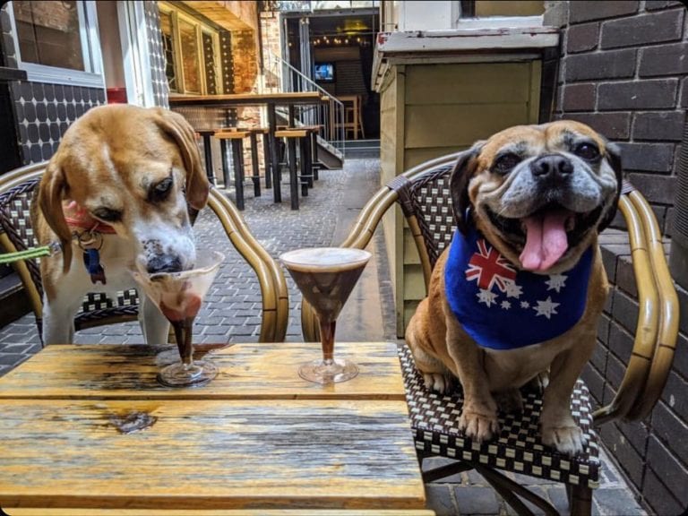 Bouzy Rouge 1 768x576