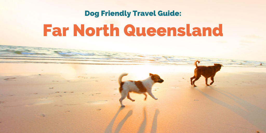 Far North Queensland Travel Guide