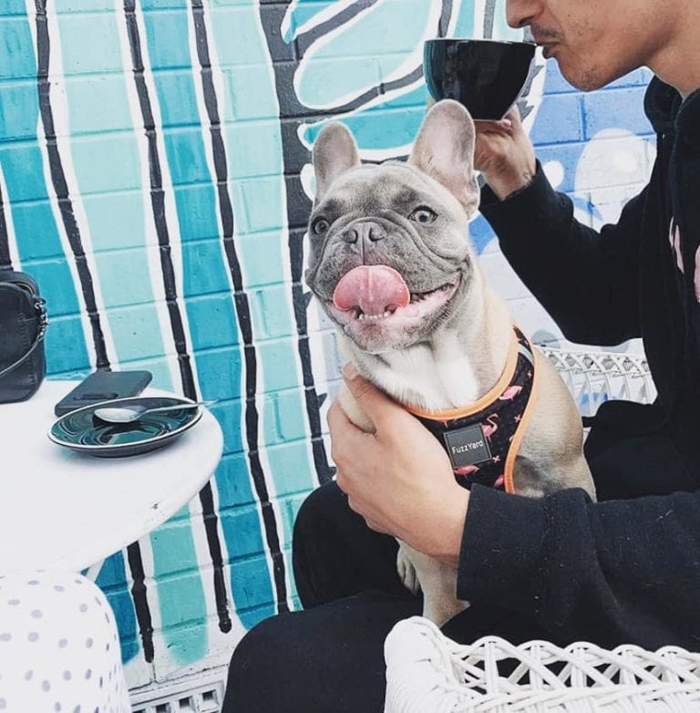 Green Tangerine 2 768x782