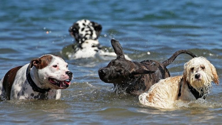 Rowland Reserve 3 768x432