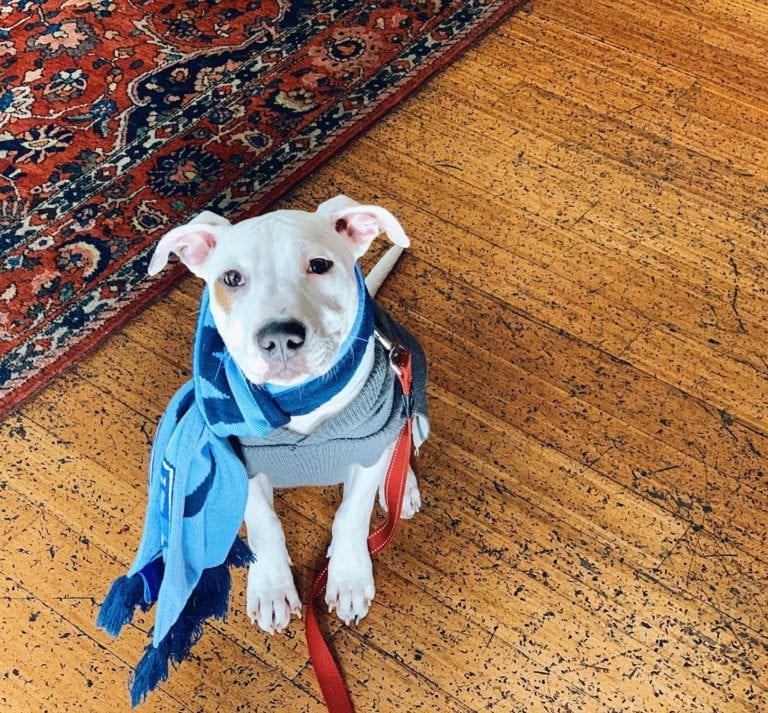 Sackville 23 768x713