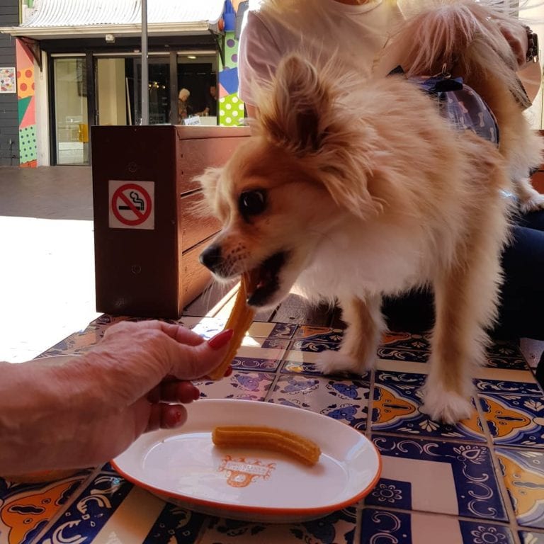 San Churro 3 768x768