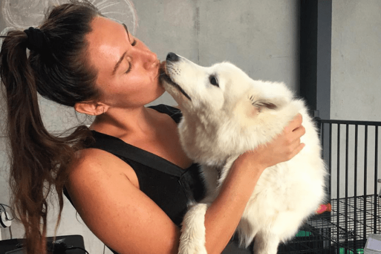 K9 Aloha 2 96 768x512