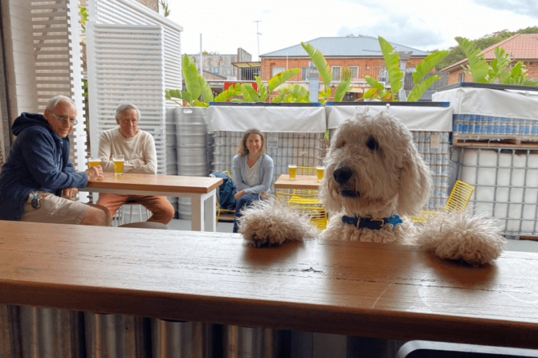 Lumi trust tree 96 768x512