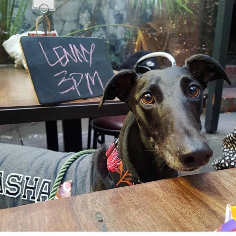 Yarra Hotel 10 768x768