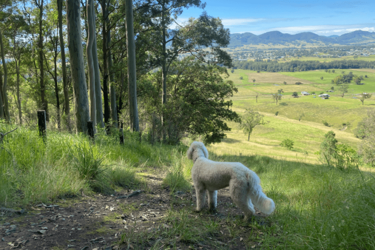 Bucketts Walk 2 768x512