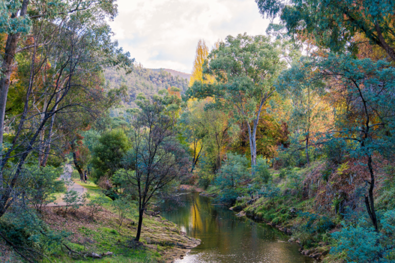 Canyon Walk 1 96 768x512