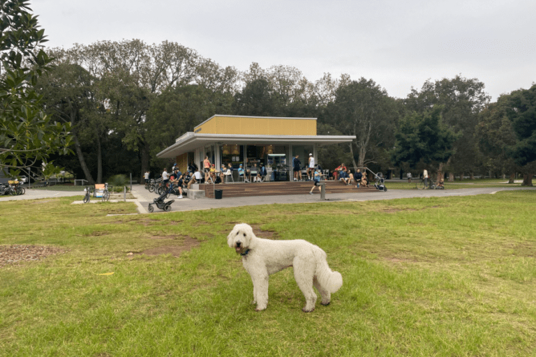 Centennial Park 2 768x512