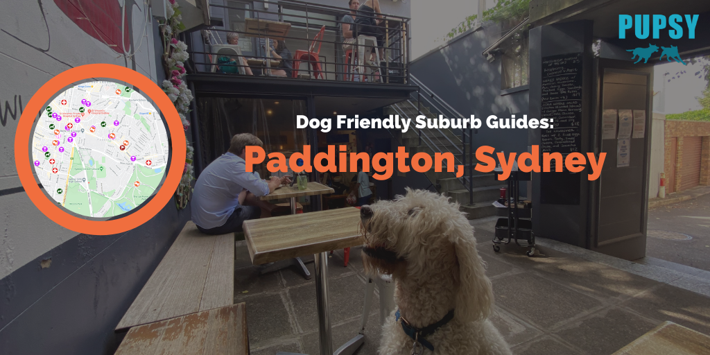 Dog Friendly Paddington Main
