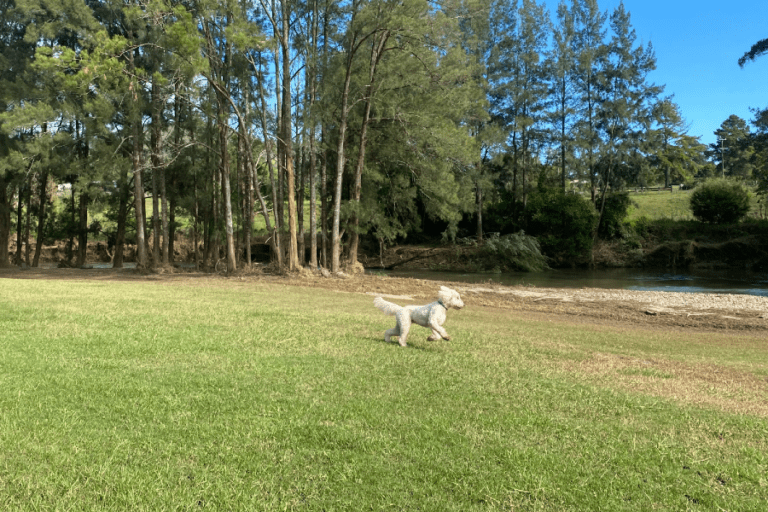 Gloucester Park 768x512