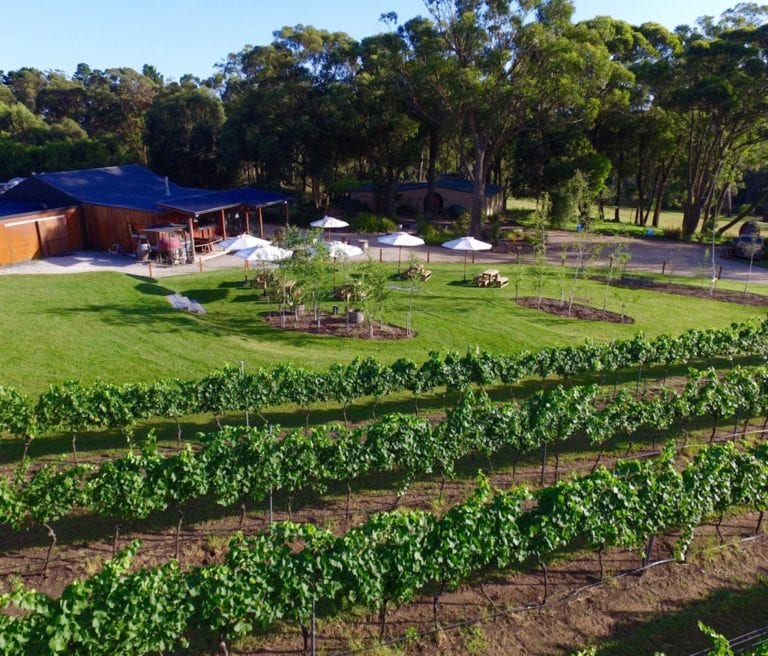 Artemis Wines 13 768x656