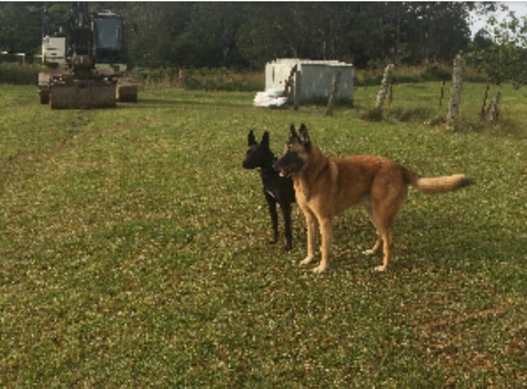 Bonnie   Neo s Sniff Farm Photo 1 768x568