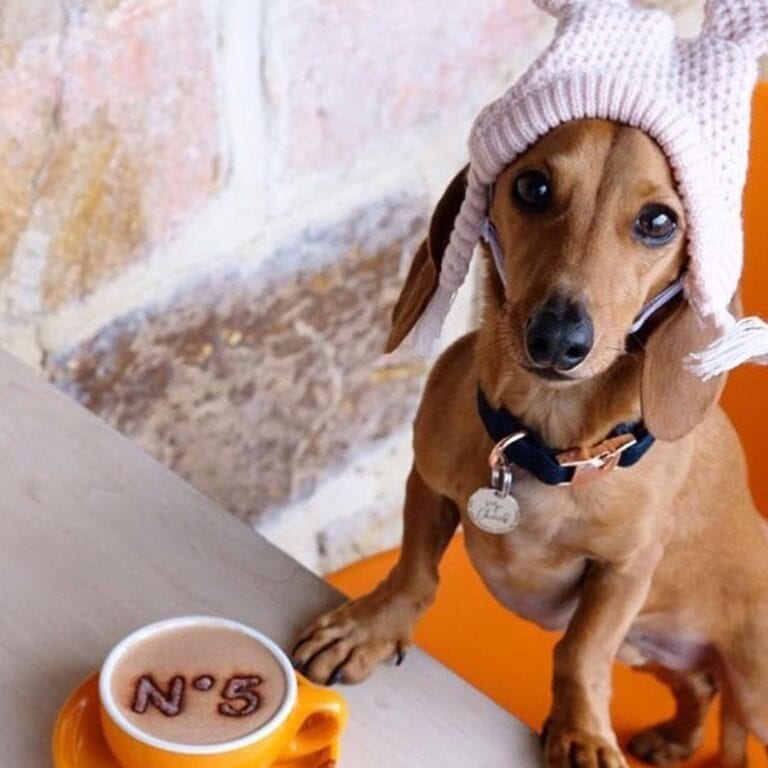 Chocolate No5 1 768x768